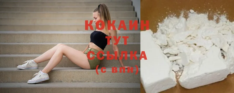 Cocaine FishScale  где можно купить   маркетплейс формула  Соликамск 